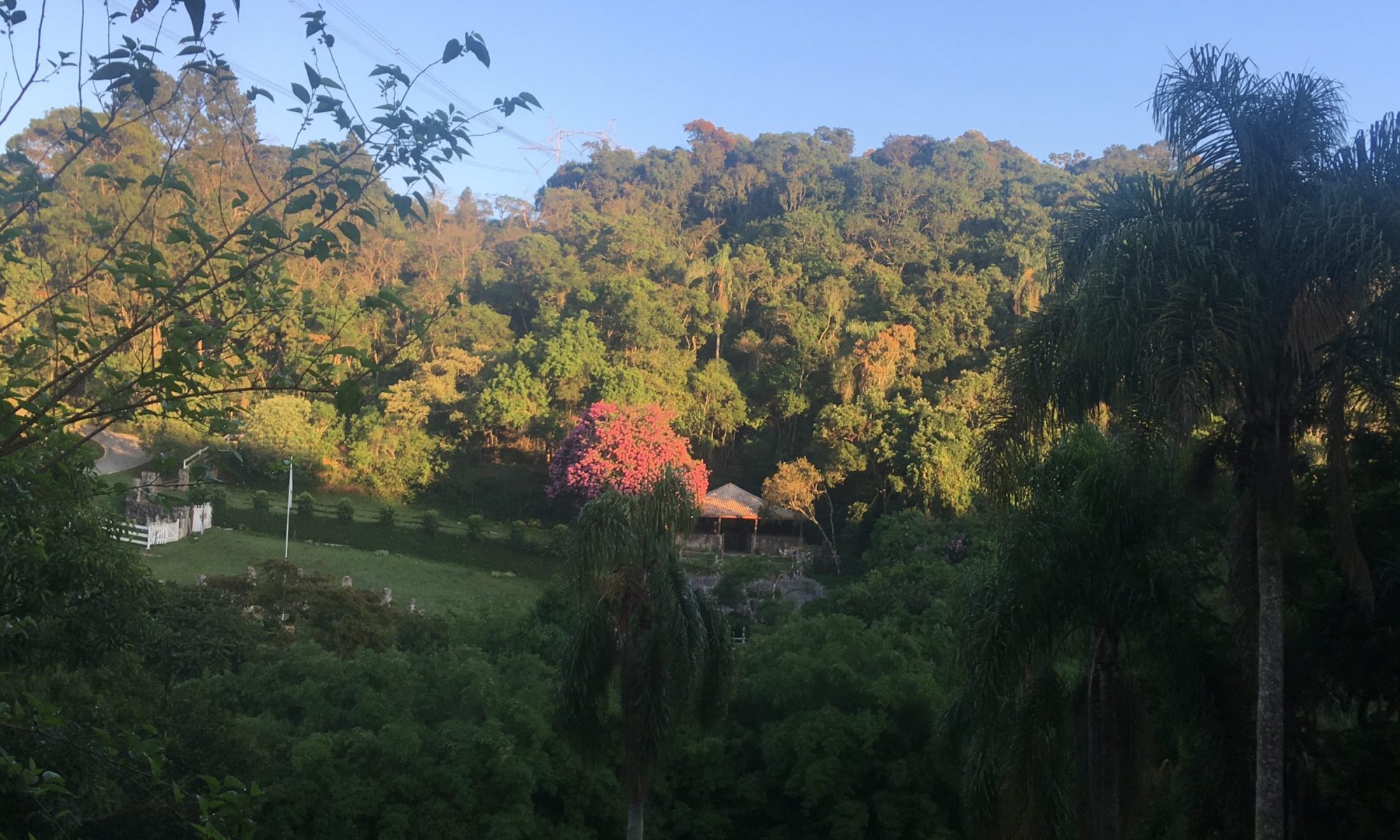cropped-2019-02-02-07.13.16-scaled-1.jpg